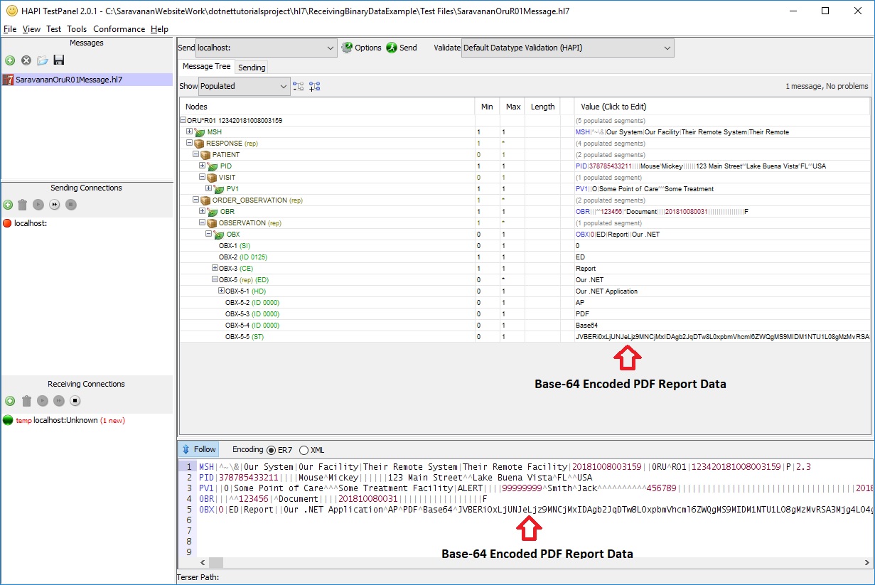 HAPI Test Panel ORU R01 Message
